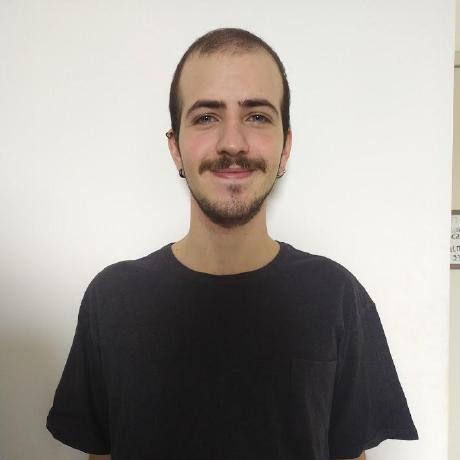 Mateus Pereira Werneck Silva