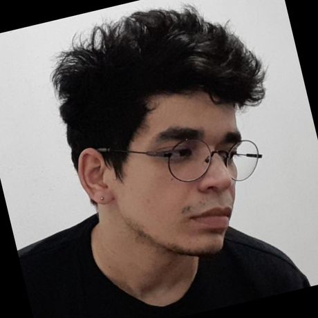 Luiz Fernando da Silva