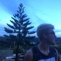 Matheus Santos Alencar
