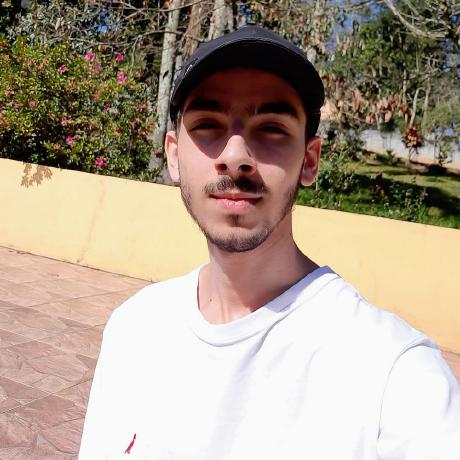 Victor Nunes Frigatto Batista