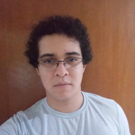 Luiz Fernando dos Santos Lins