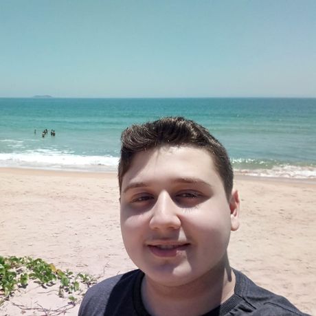 Arthur Victor Ribeiro Hetem