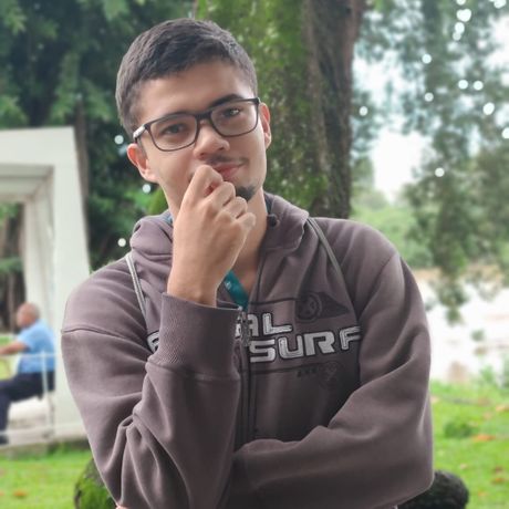 João Victor Martins Teixeira