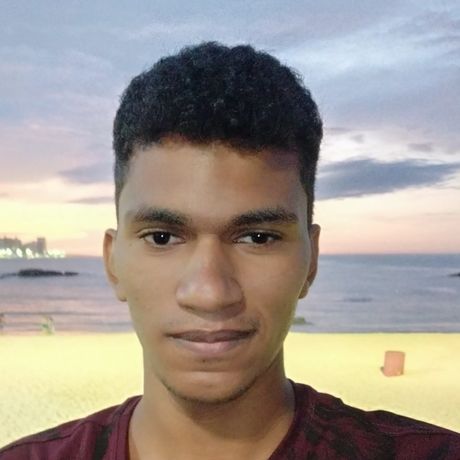 Luiz Eduardo Vieira Castilho